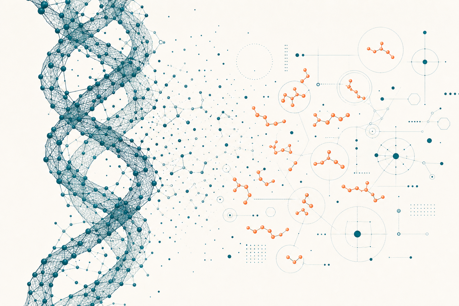Editoriale Illustration: Größenvergleich einer Kollagen-Tripelhelix mit kleinen Hydrolysat-Peptid-Fragmenten (Pro-Hyp) in Petrol und Signal-Orange