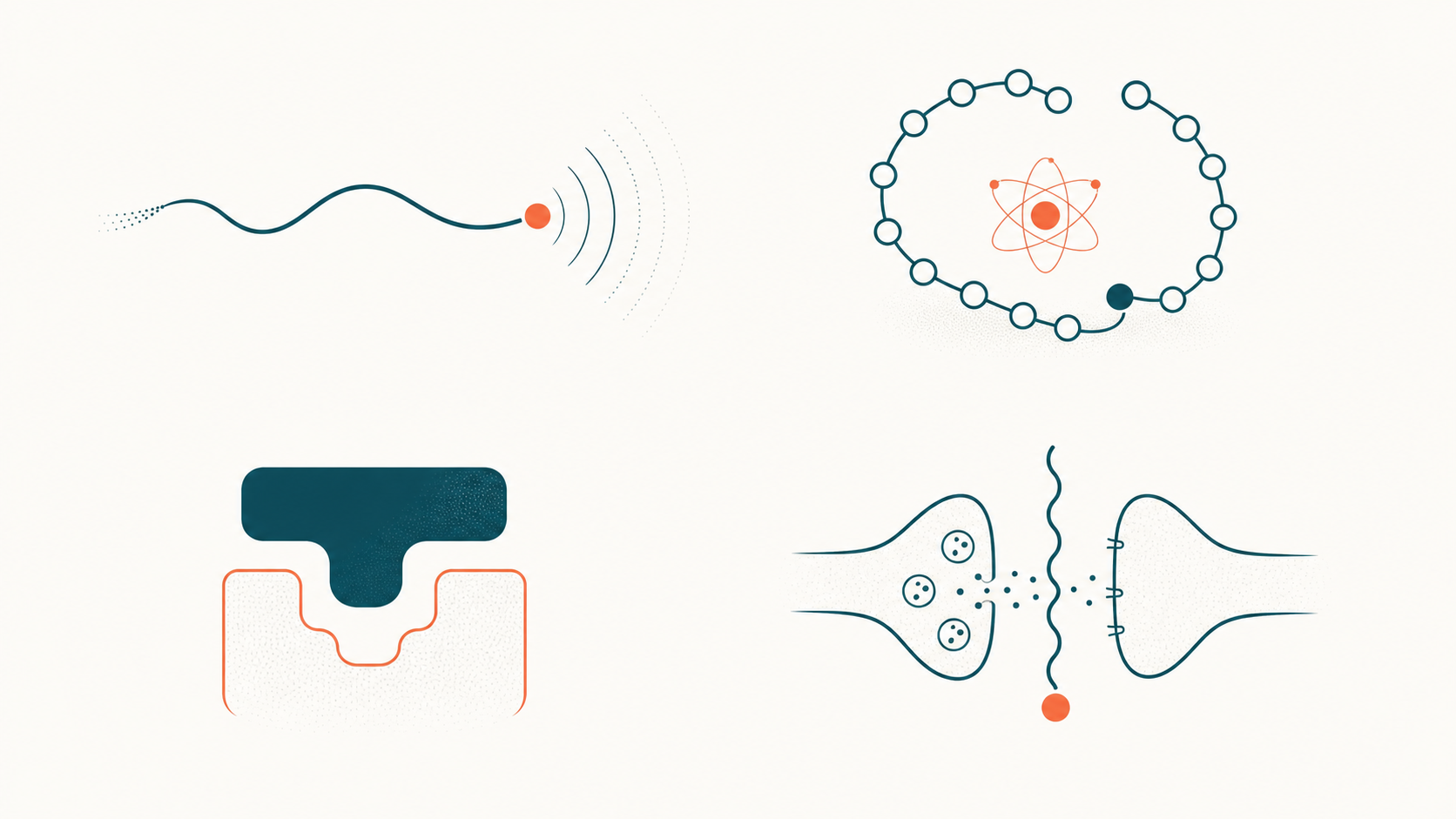 Editoriale Illustration: vier abstrakte Peptid-Klassen-Icons in Petrol mit orangenen Signal-Markern