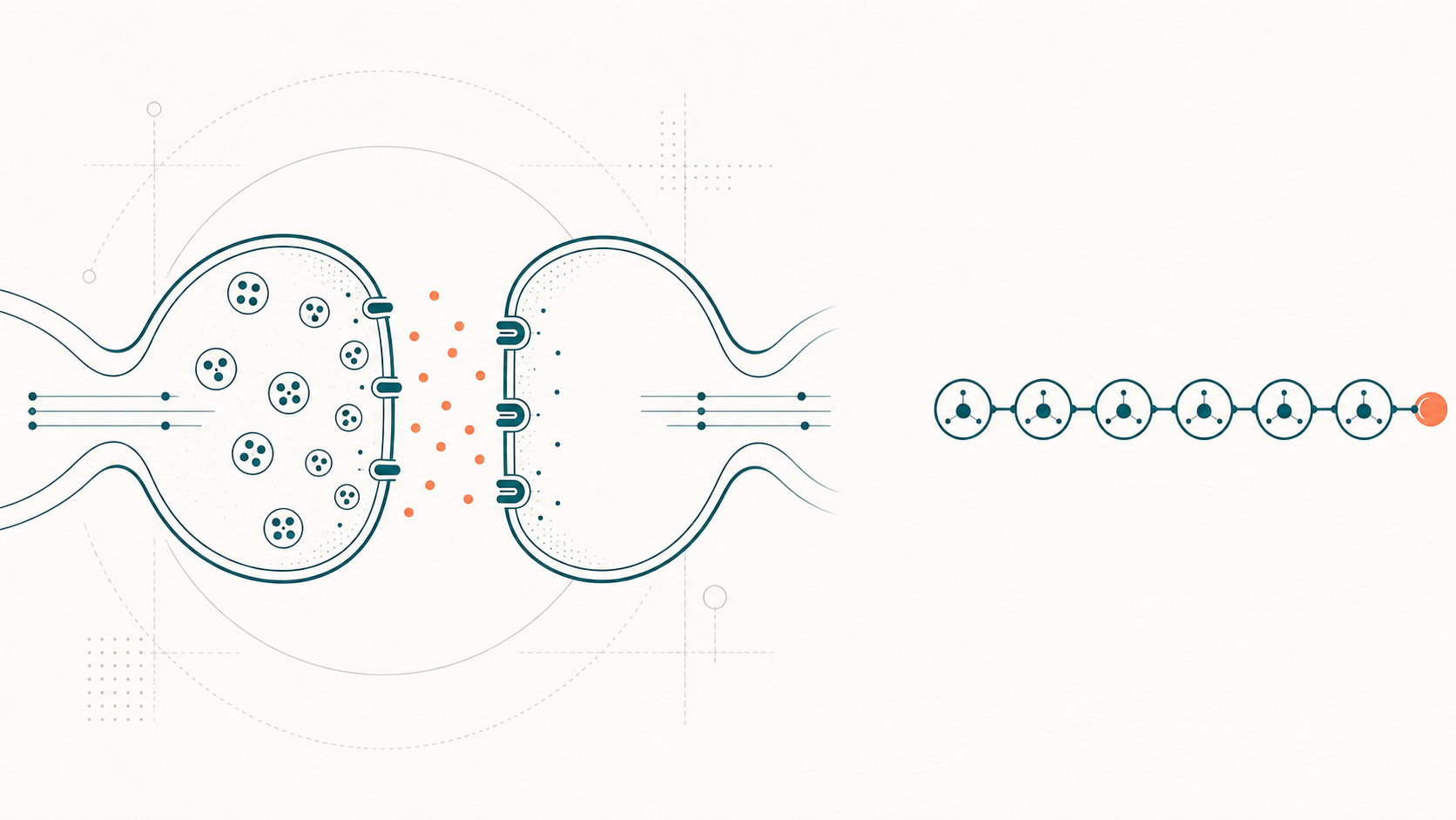 Editoriale Illustration: abstrakte synaptische Spalt-Schemazeichnung mit GABA-Modulation und Selank-Heptapeptid