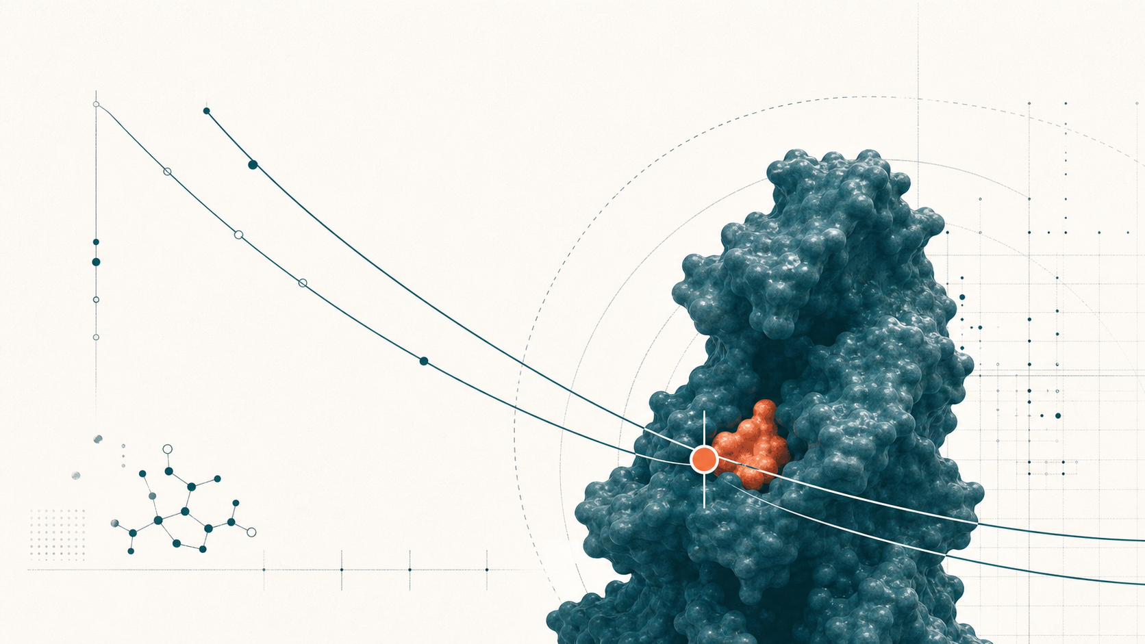 Editoriale Illustration: zwei abstrakte Studienkurven mit GLP-1-Receptor-Anker (Semaglutid)