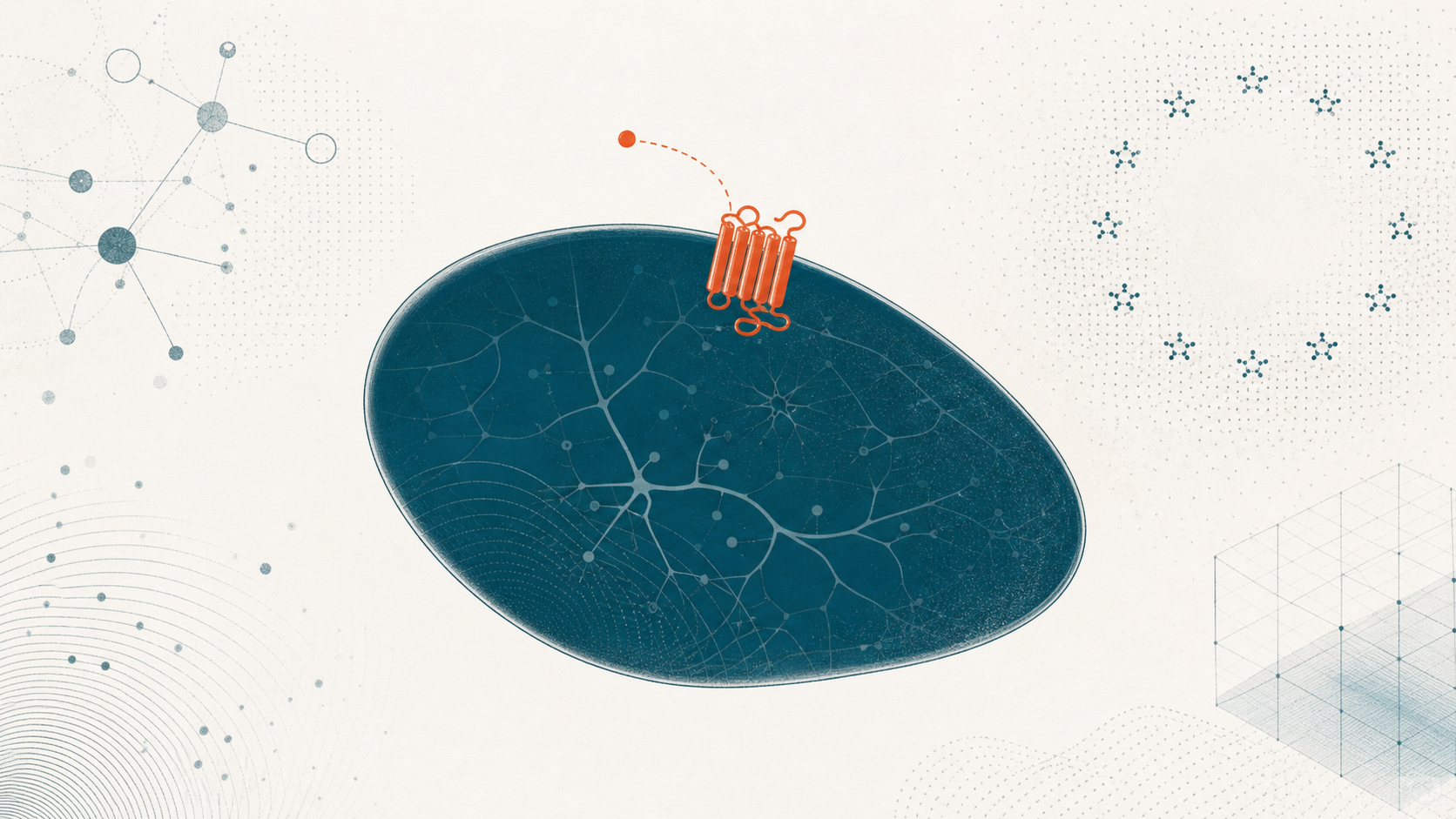 Editoriale Illustration: Hypothalamus-Schema mit MC4R-Marker und EU-Stars-Hintergrund (Setmelanotid)