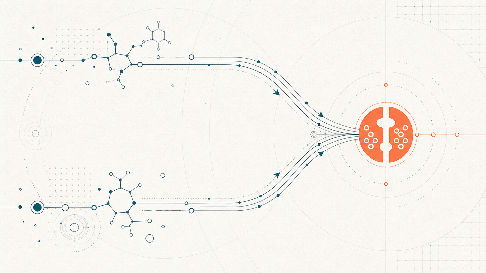 Editoriale Illustration: zwei konvergierende Signalwege auf einem Dual-Receptor (Tirzepatid)